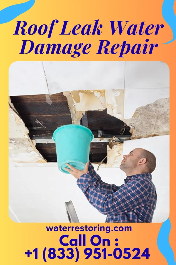 Roof Leak Water Damage Repair in Antioch, IL