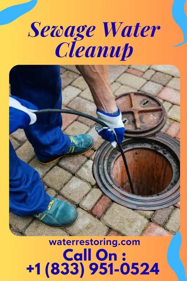 Sewage Water Cleanup in Antioch, IL